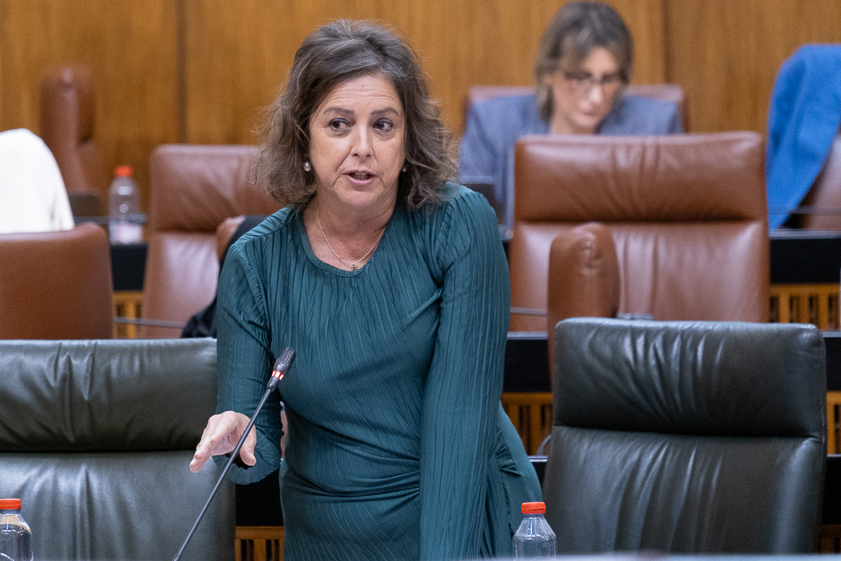 Catalina García, durante su intervención en el Parlamento.
