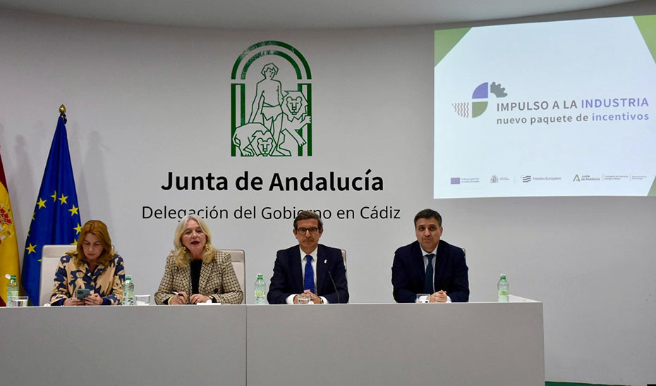 El consejero de Industria, Energía y Minas, Jorge Paradela, en la presentación en Cádiz de los Incentivos Integrados financiados con Fondos FEDER.