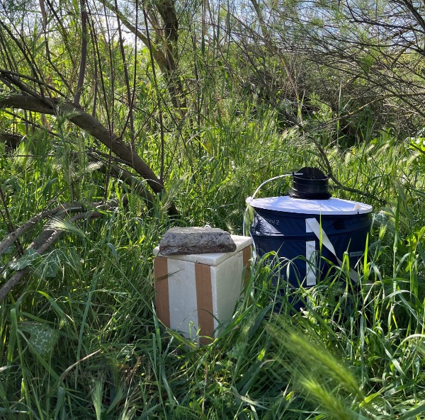 Salud adelanta un mes la vigilancia y control de mosquitos portadores del virus del Nilo occidental