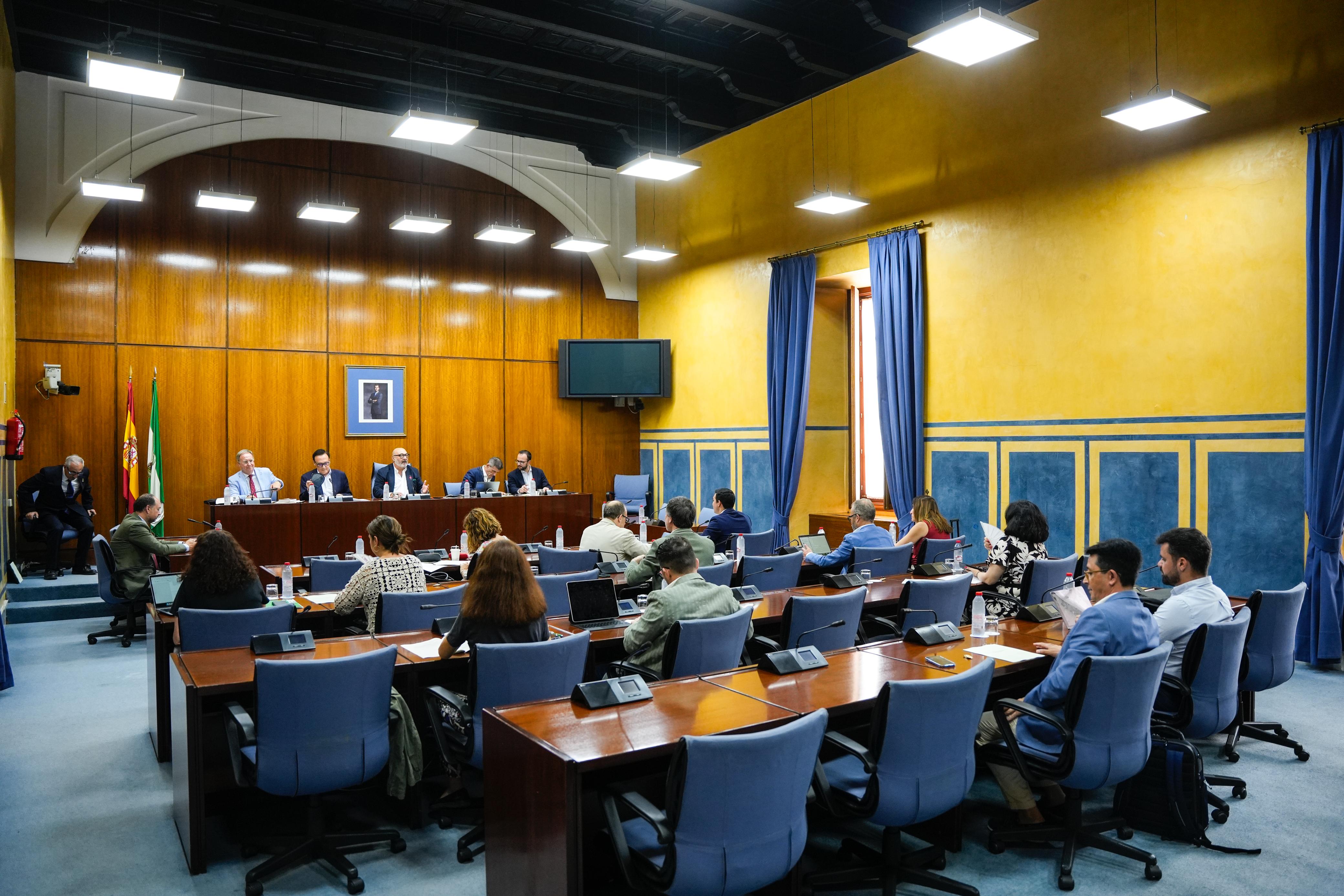 Villamandos en Comisión Parlamentaria