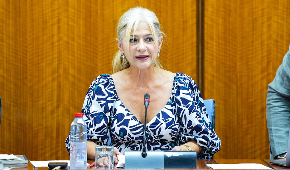 La consejera de Cultura y Deporte, Patricia del Pozo La consejera de Cultura y Deporte, Patricia del Pozo