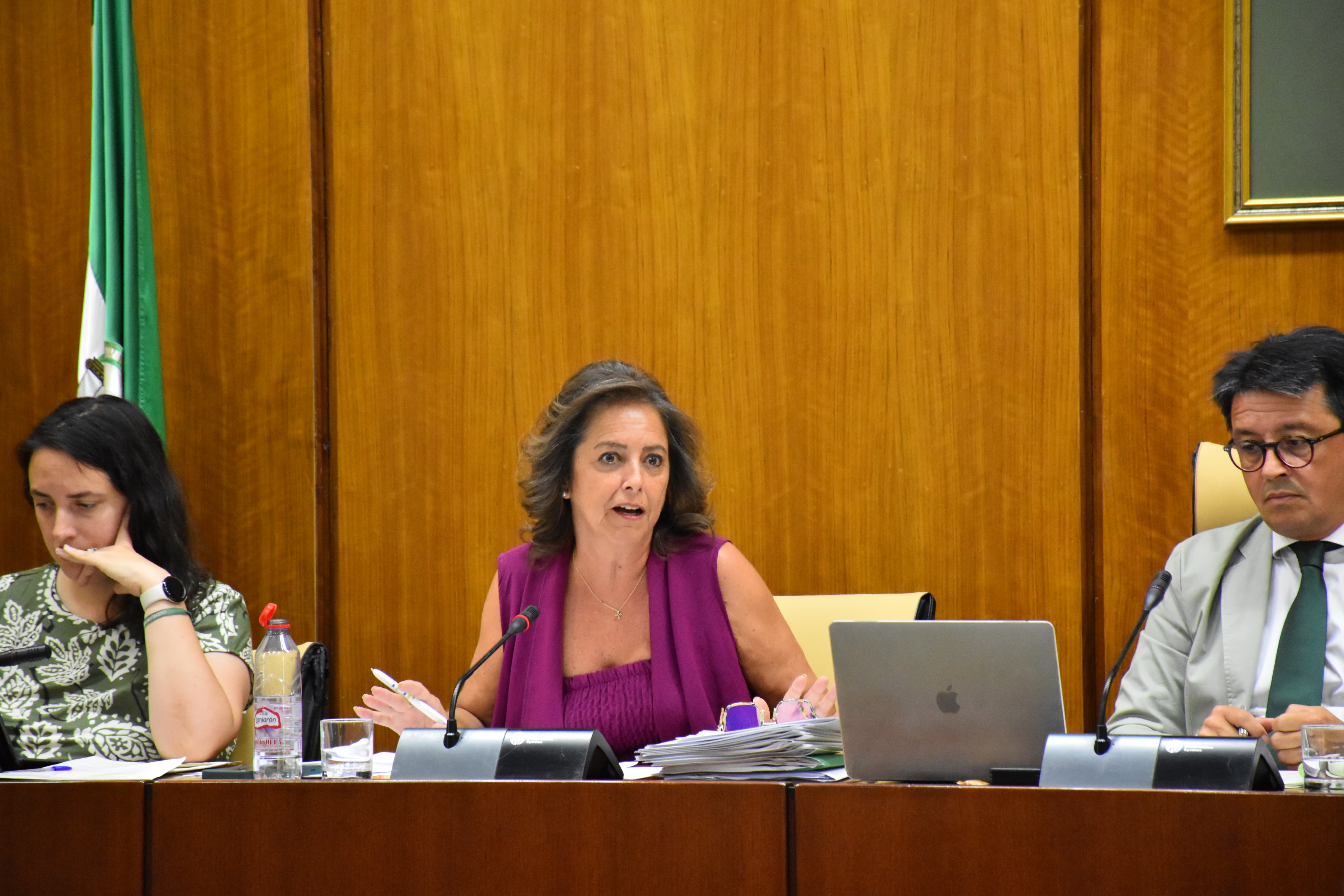 La consejera Catalina García, en la Comisión parlamentaria.