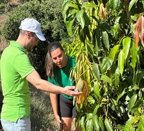 El responsable del IAJ en Granada visita la explotación agraria de la joven empresaria Begoña Maldonado