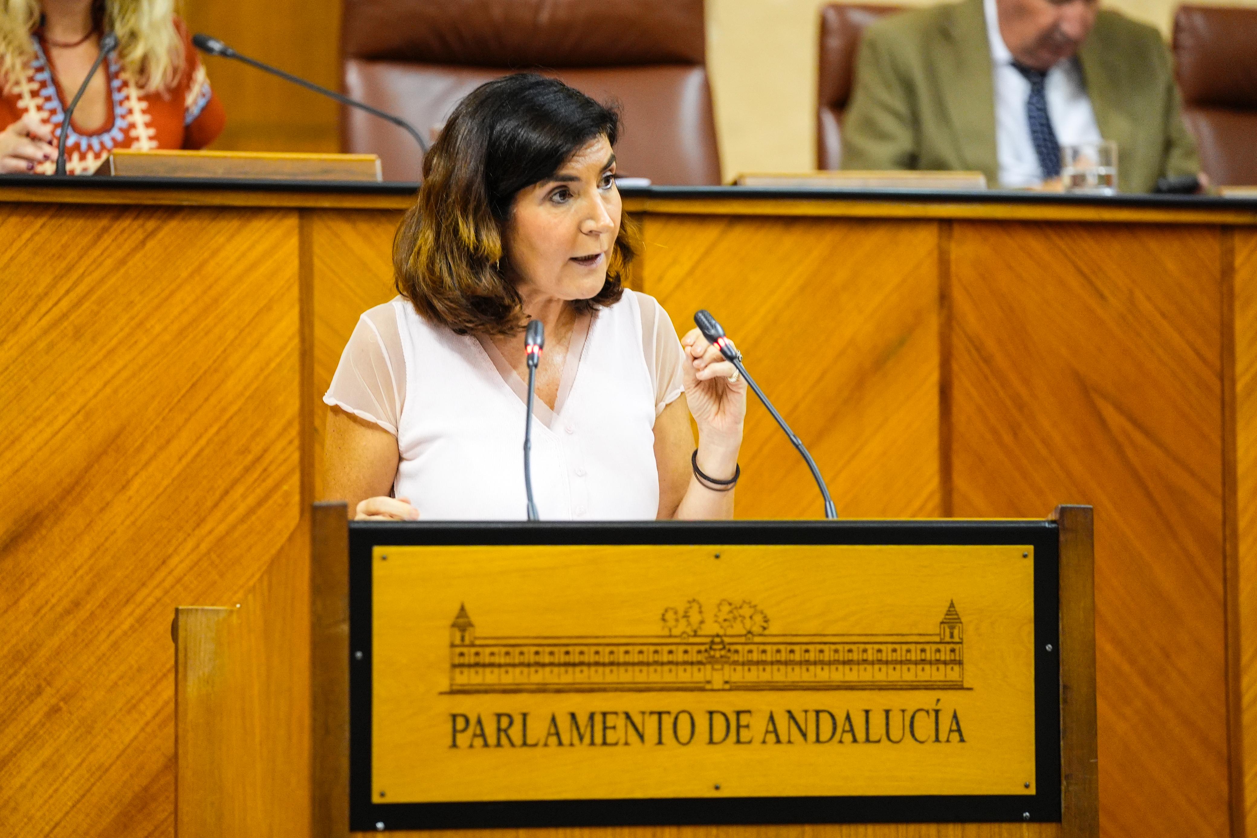 Rocío Blanco ante el Pleno del Parlamento
