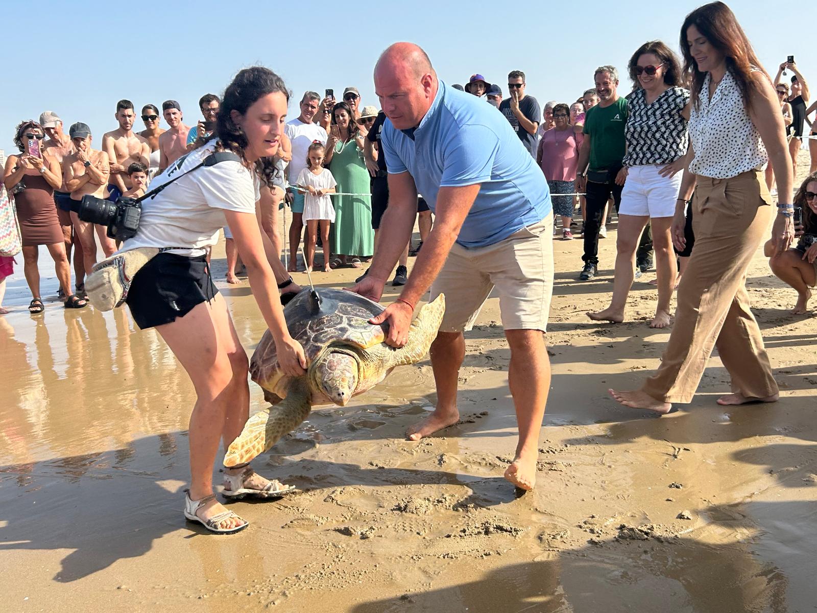Estas tortugas han sido rescatadas por pescadores en el ámbito del proyecto SOS Caretta y recuperadas en el Cegma del Estrecho.