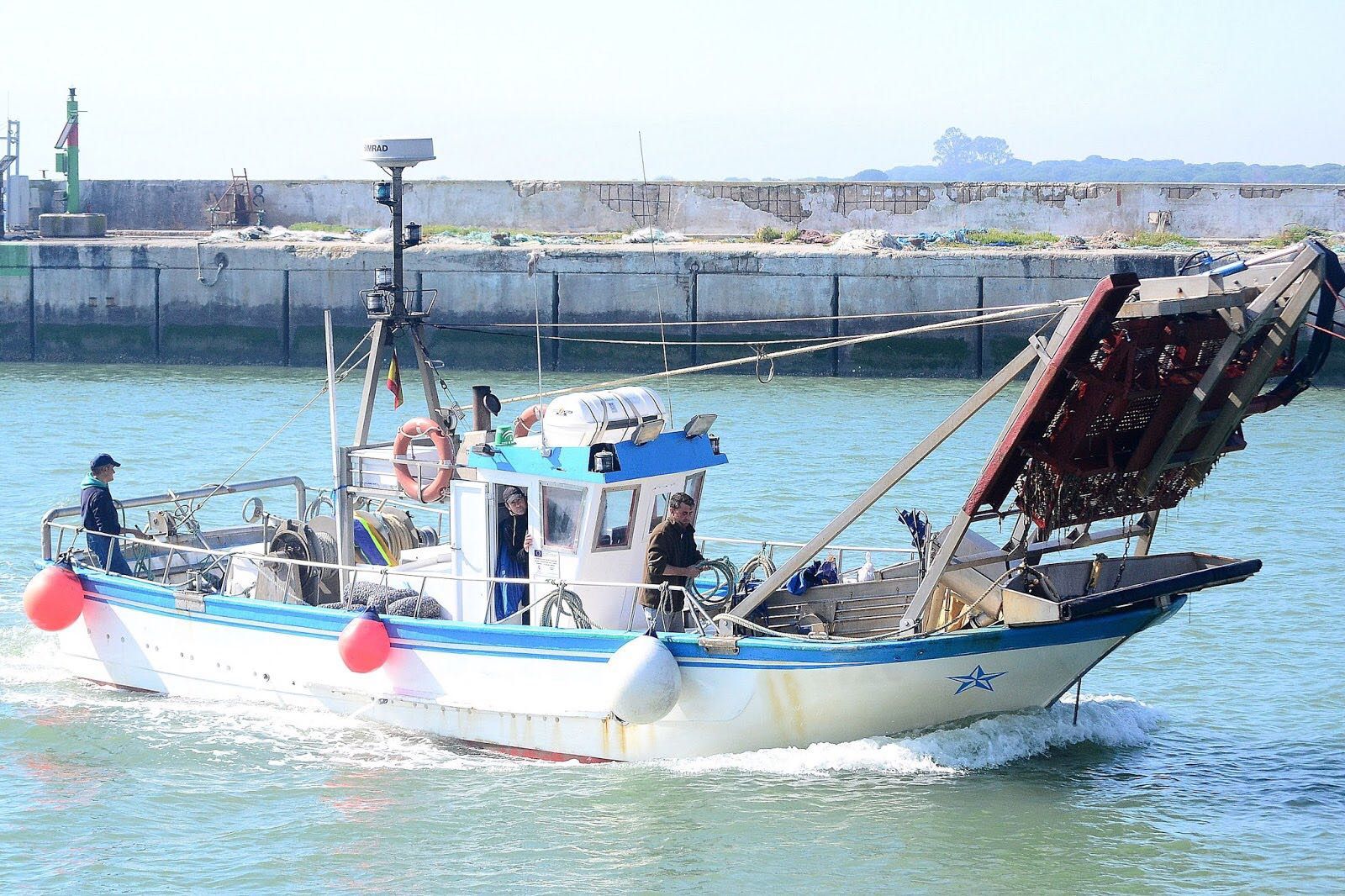 Las ayudas al desguace permitirán reducir el esfuerzo pesquero y asegurar un futuro sostenible para la chirla en el Golfo de Cádiz.