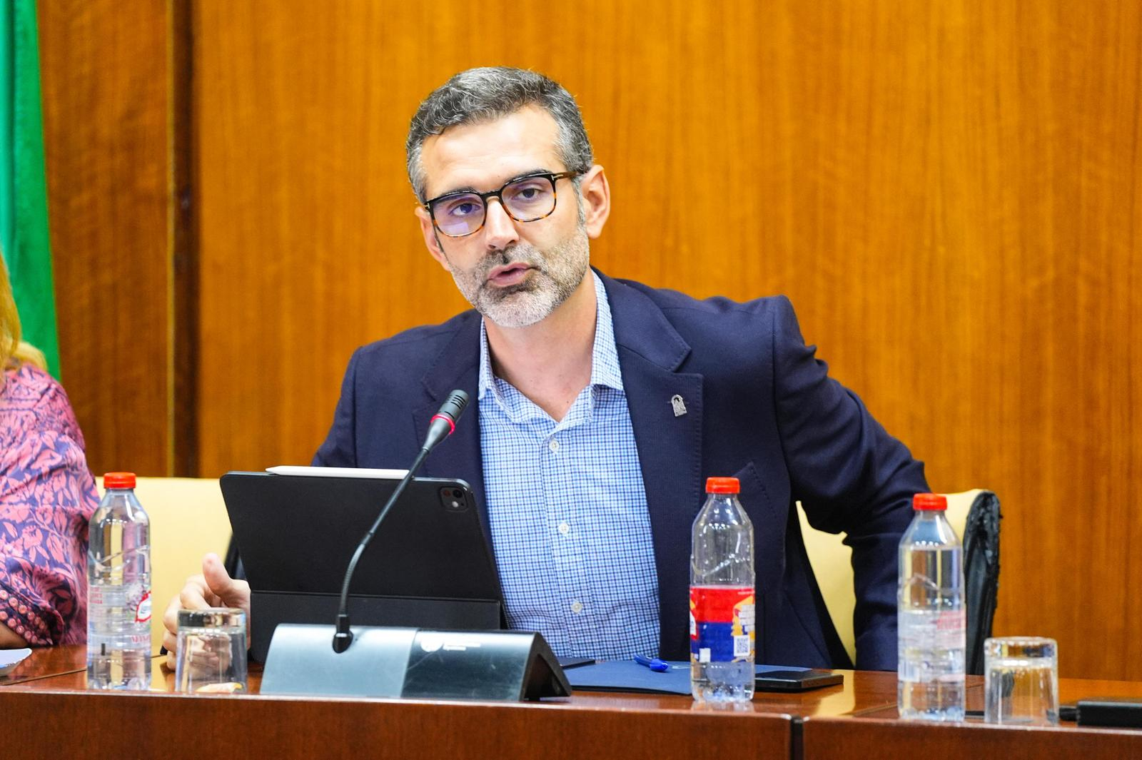 Ramón Fernández-Pacheco durante la comisión parlamentaria