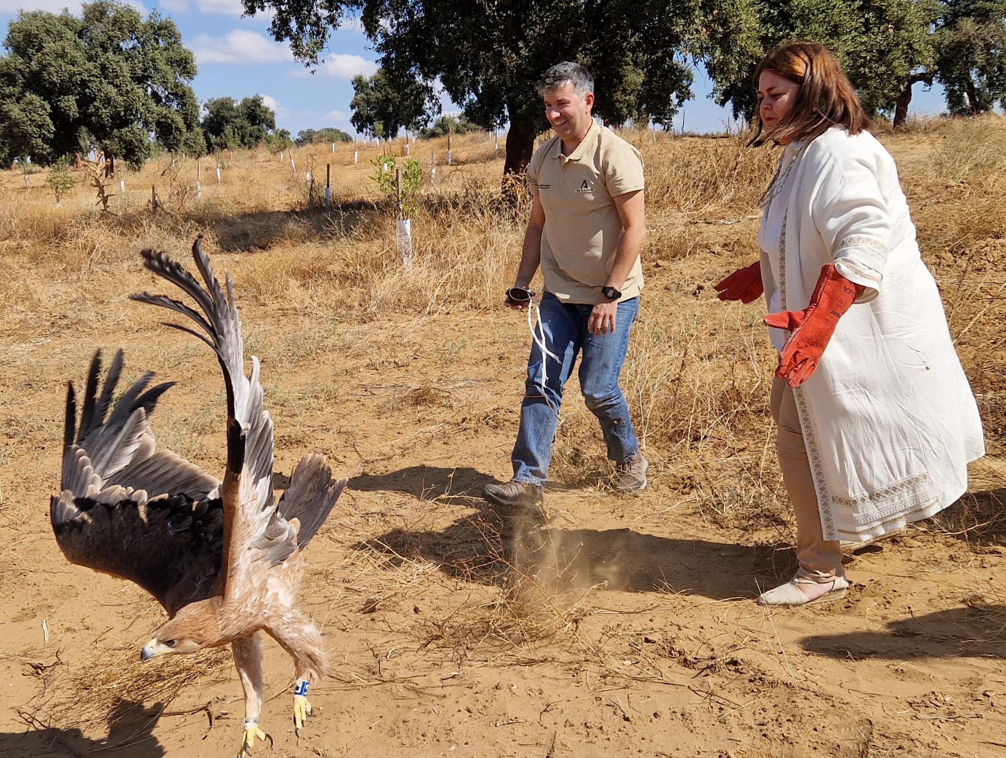 La delegada territorial en Sevilla, Inmaculada Gallardo, ha participado en la liberación de los dos ejemplares.