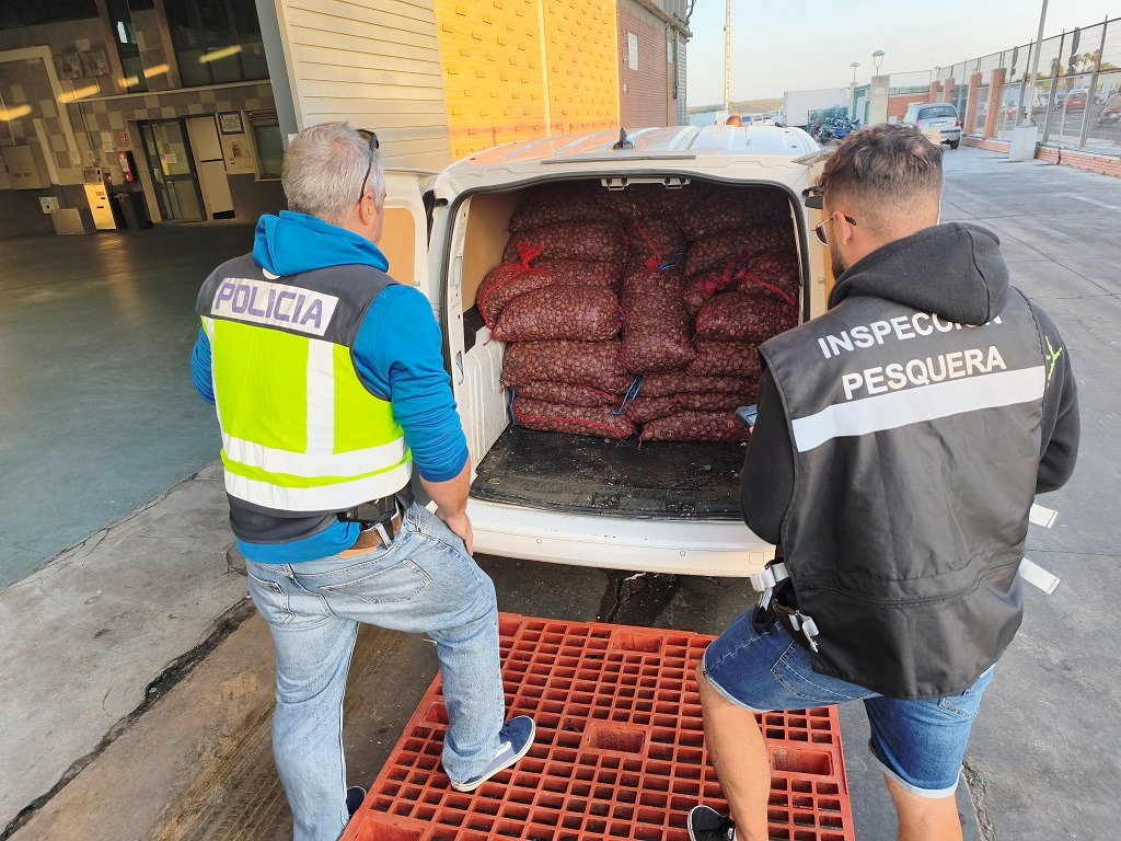 Inspección Pesquera de la Junta y Policía Nacional intervienen 1.600 kg de almeja japonesa