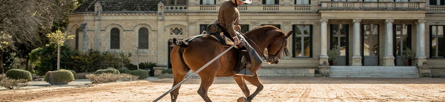 Fundación Real Escuela Andaluza de Arte Ecuestre