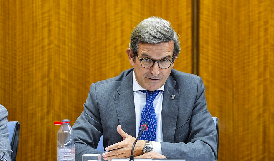 El consejero de Industria, Energía y Minas, Jorge Paradela, en el Comisión parlamentaria.