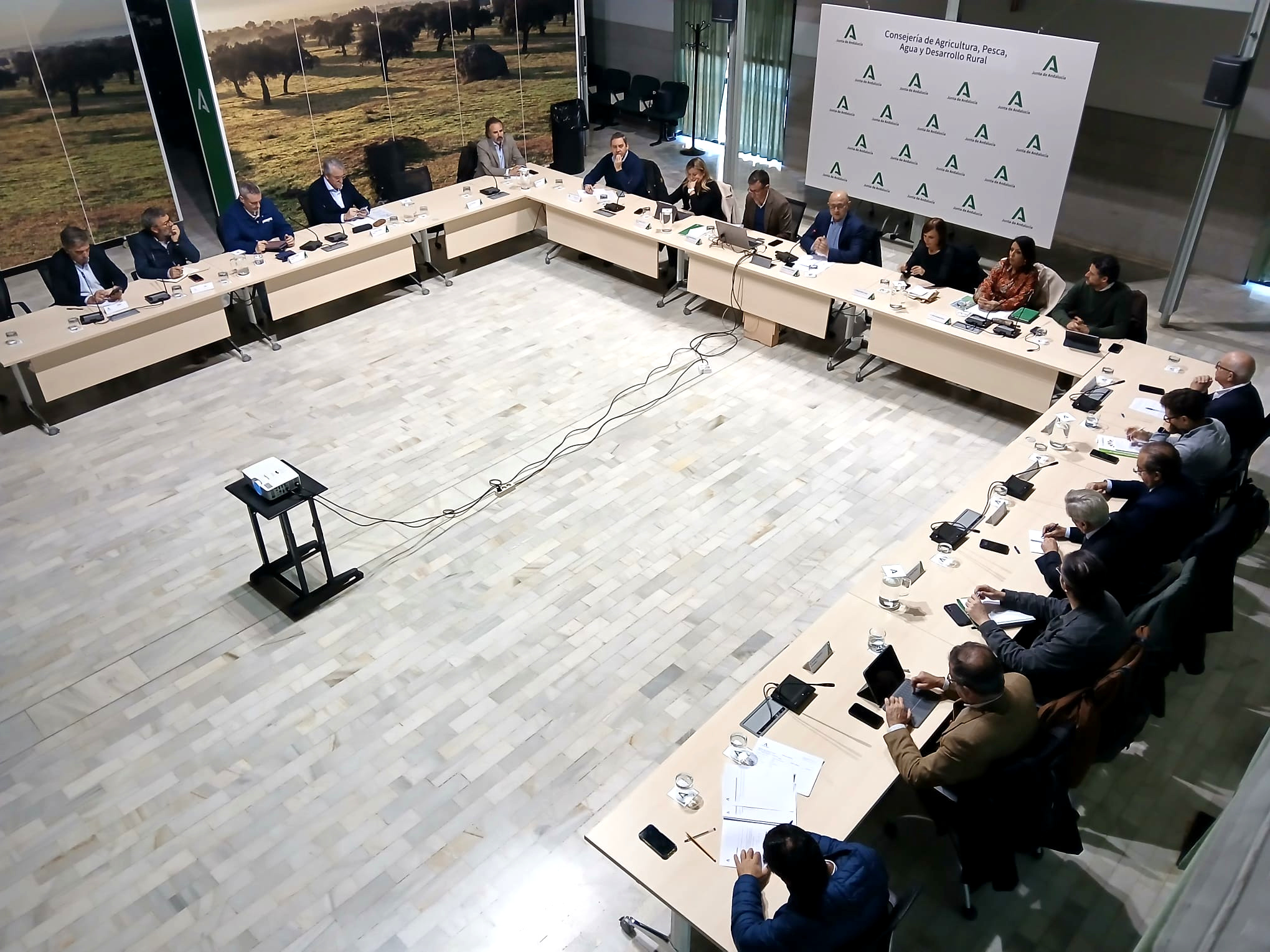 El Consejo Andaluz del Olivar se reúne en la Consejería de Agricultura, Pesca, Agua y Desarrollo Rural