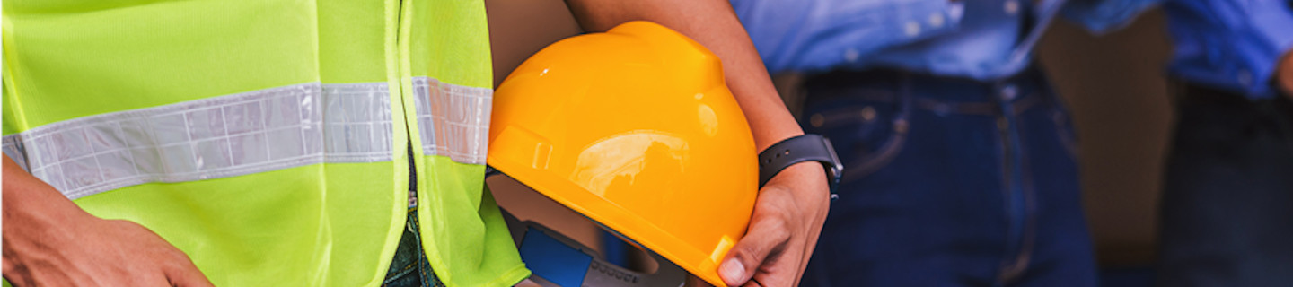 memoria de actividades 2024