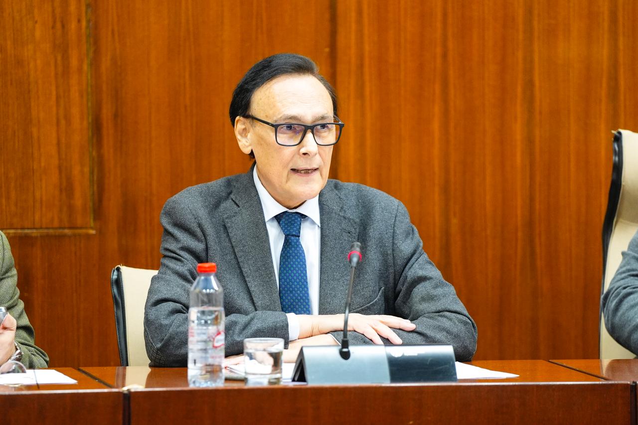 Villamandos en comisión parlamentaria