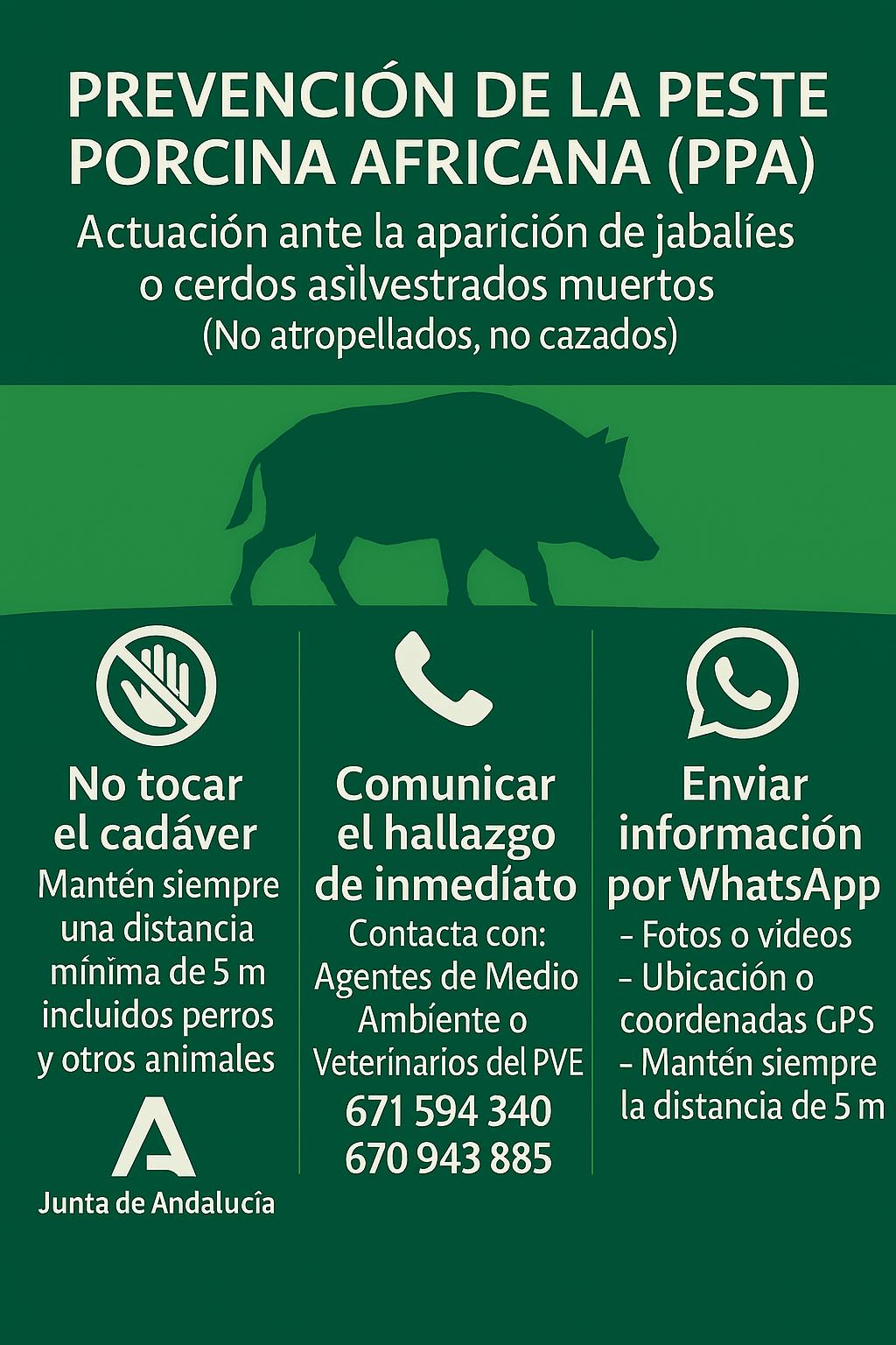 La Junta activa medidas extraordinarias en materia de Agricultura y Sanidad.