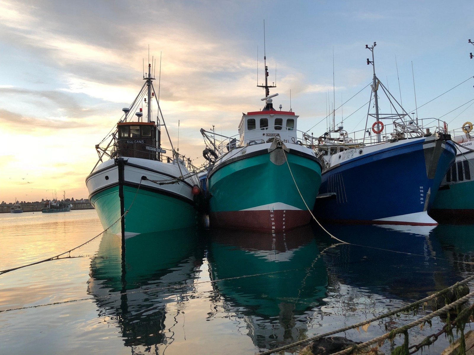 Nuevas ayudas para la pesca sostenible.