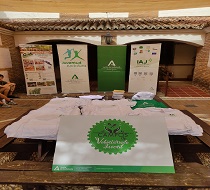 Presentación de proyectos a los Campos de Voluntariado Juvenil 2026