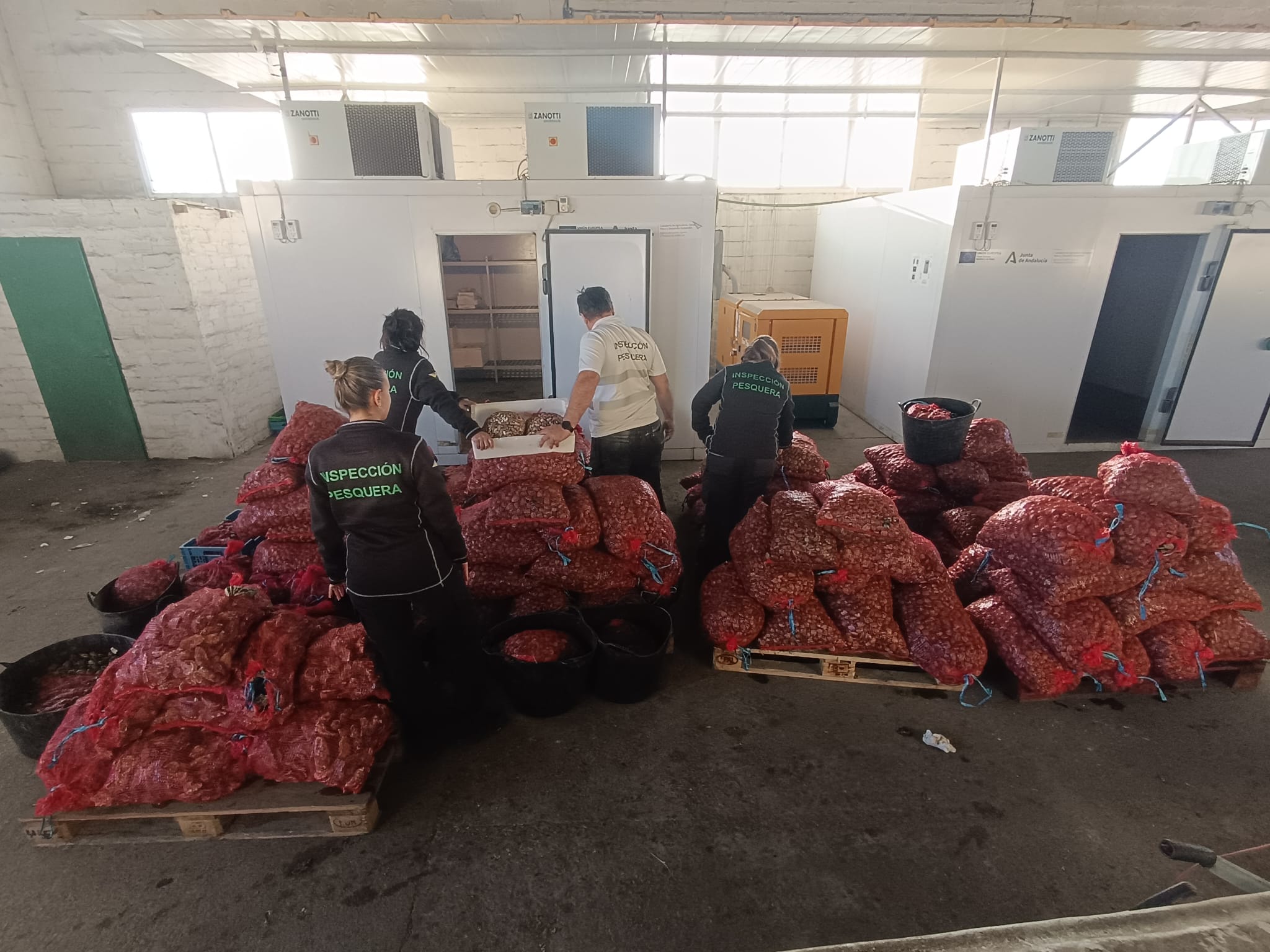 Imagen de la mercancía decomisada