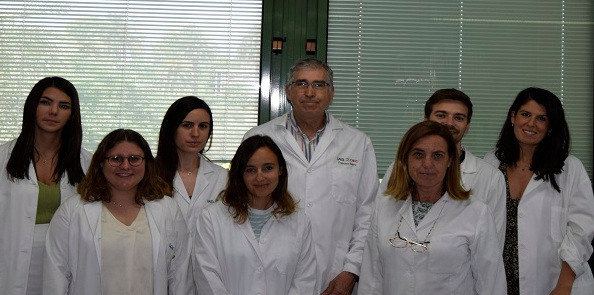 Grupo de investigación