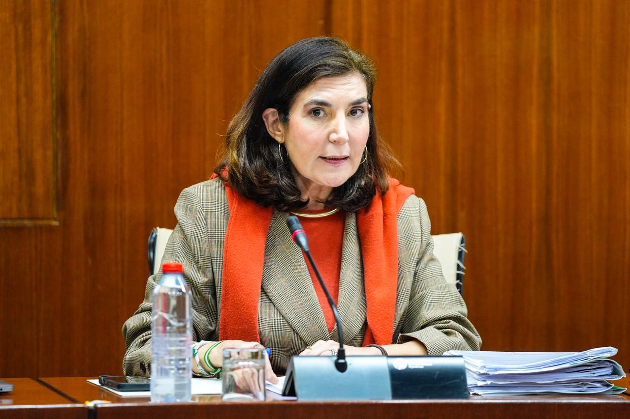 Rocío Blanco durante la comparecencia parlamentaria.