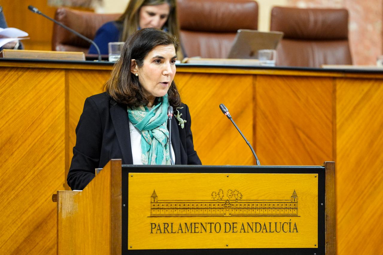 Rocío Blanco ante el Pleno del Parlamento andaluz.