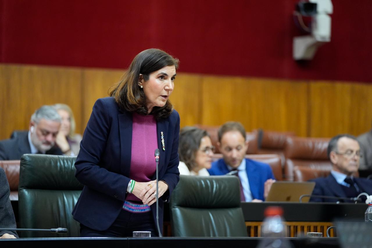 Rocío Blanco en la sesión de control en el Parlamento.