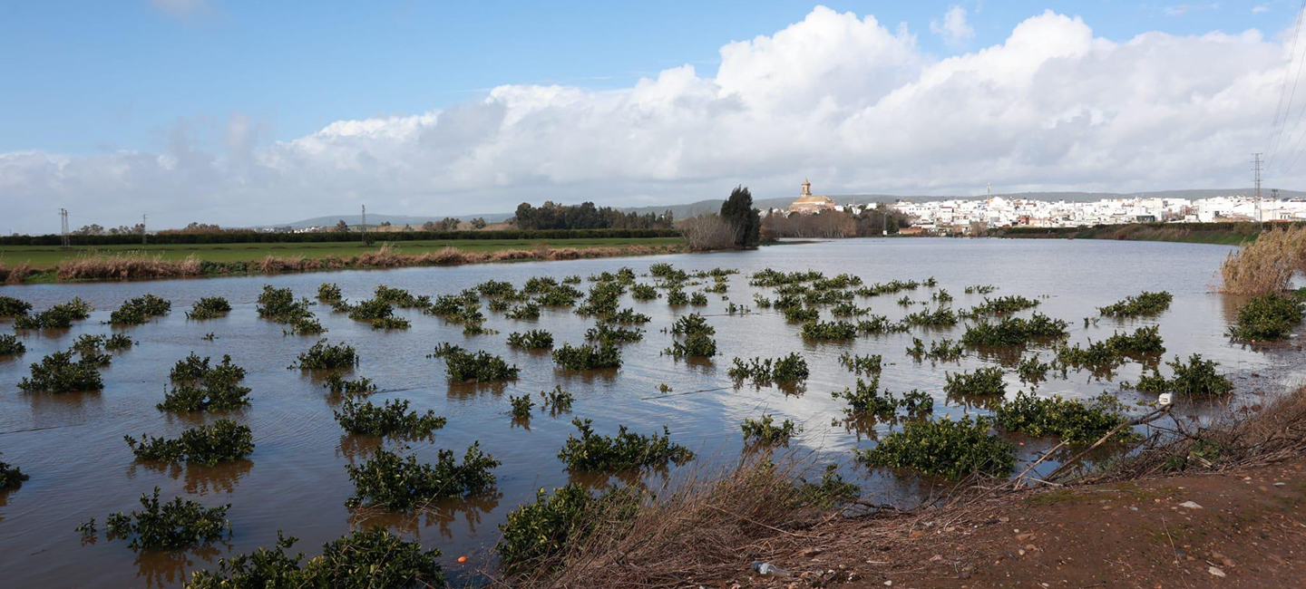 medida 23 fenómenos adversos