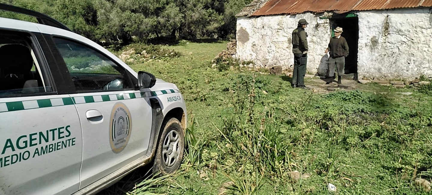 Agentes medioambientales