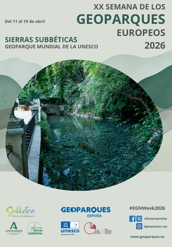 Cartel de la actividad