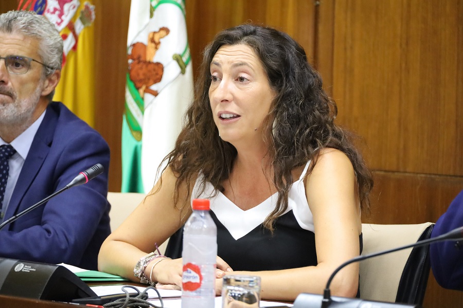 La consejera de Inclusión Social, Juventud, Familias e Igualdad, Loles López.
