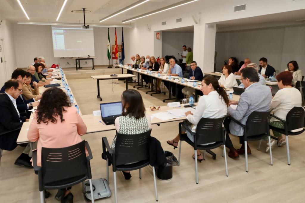 Consejo Andaluz de Mayores. 