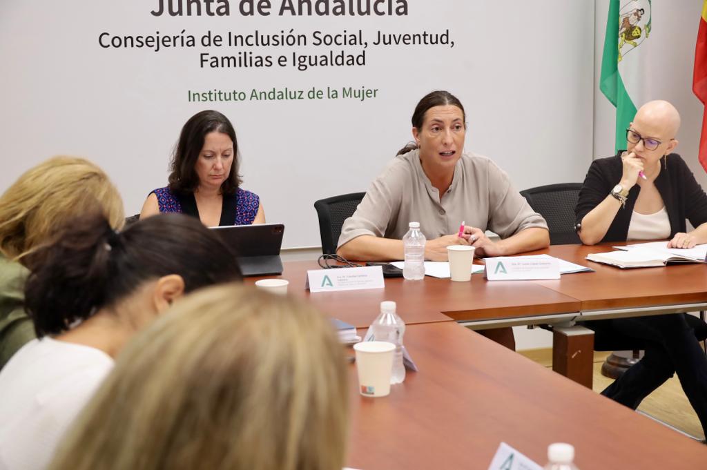 Loles López preside la reunión de balance de las comisiones provinciales contra la VG
