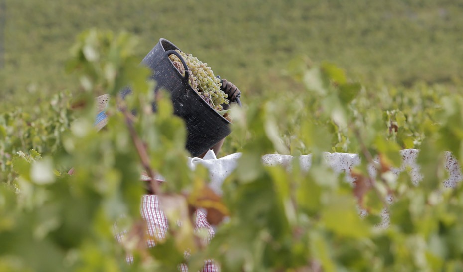 Recurso de imagen de campo. 