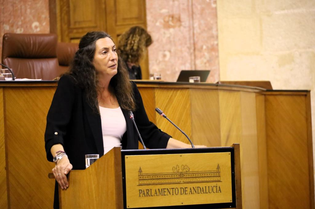 La consejera de Inclusión Social, Juventud, Familias e Igualdad, Loles López.