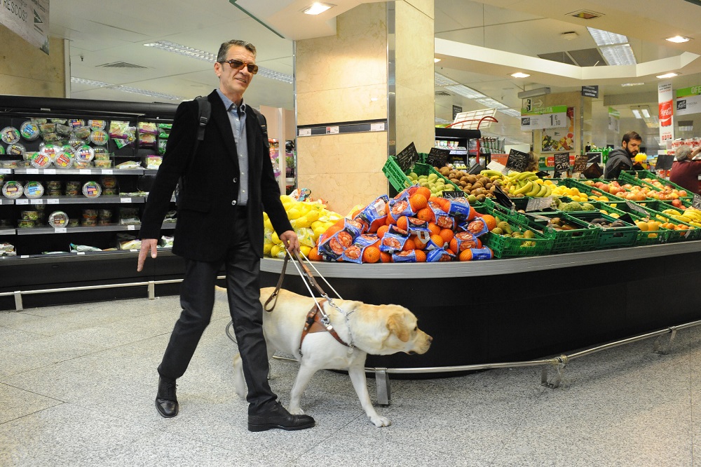 Foto recurso de perro guía. 
