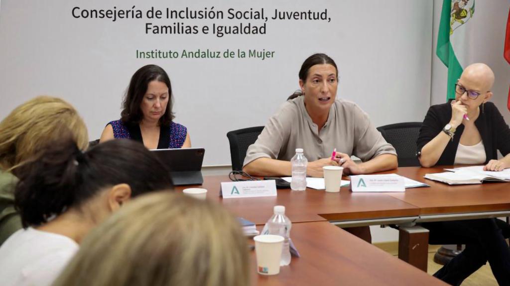 Reunión balance de comisiones sobre violencia de género. 