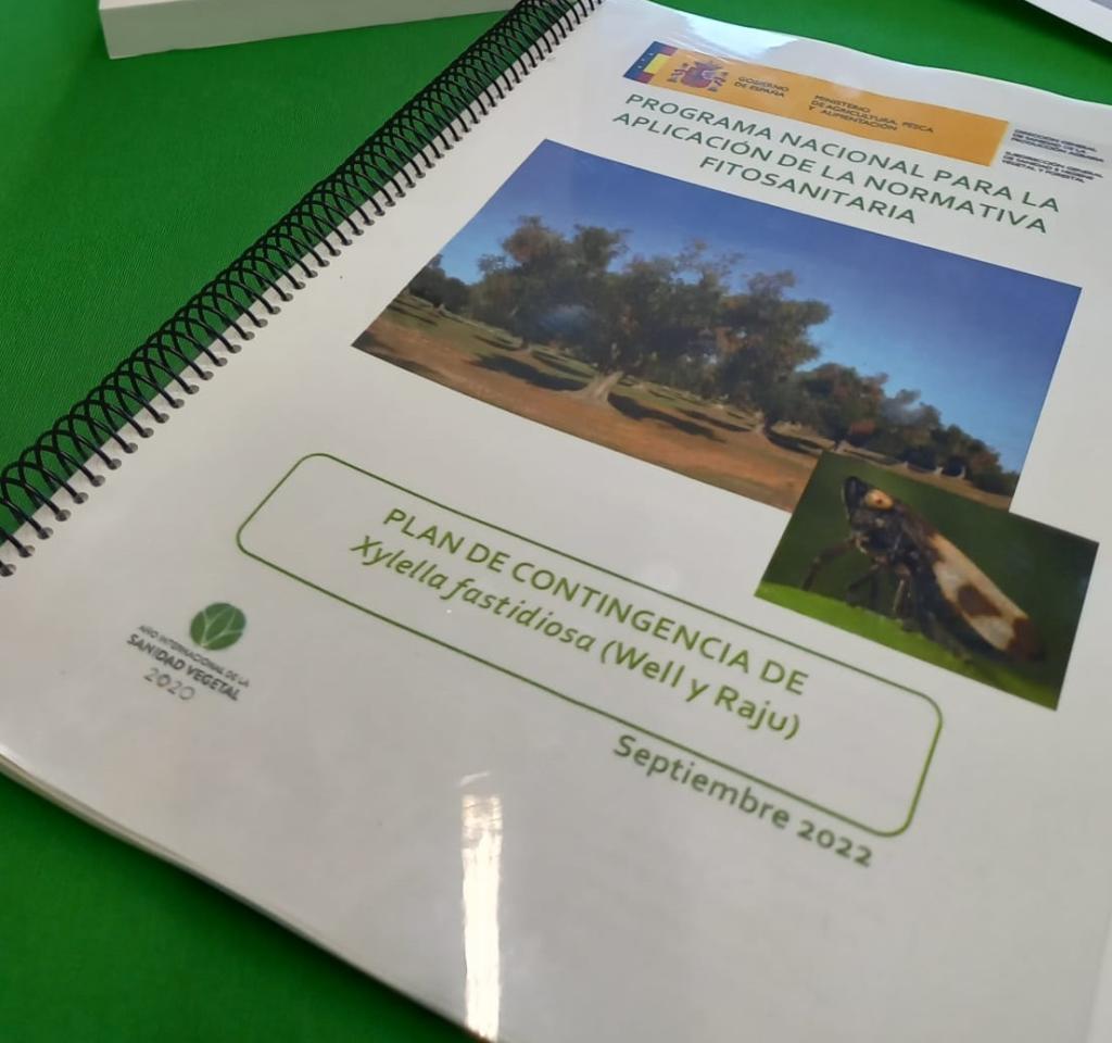 Plan de contingencia