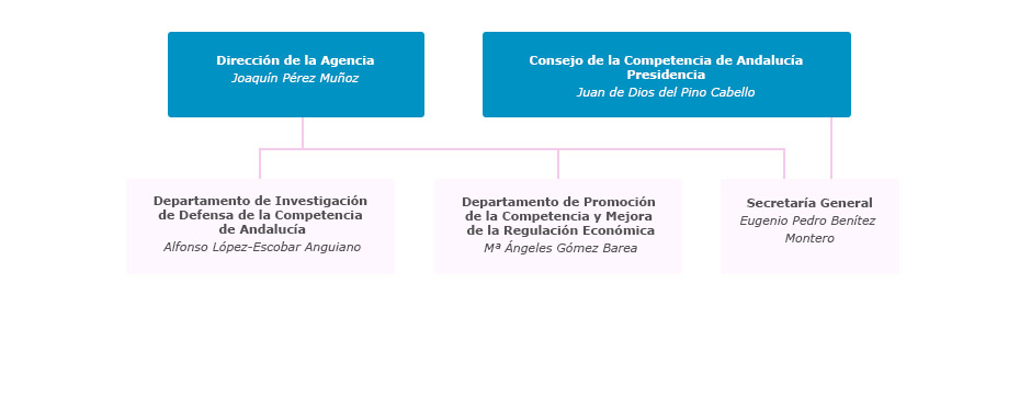Organigrama de la Agencia de la Competencia y de la Regulación Económica de Andalucía