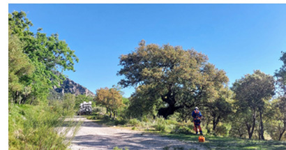 Trabajos preventivos en espacios naturales