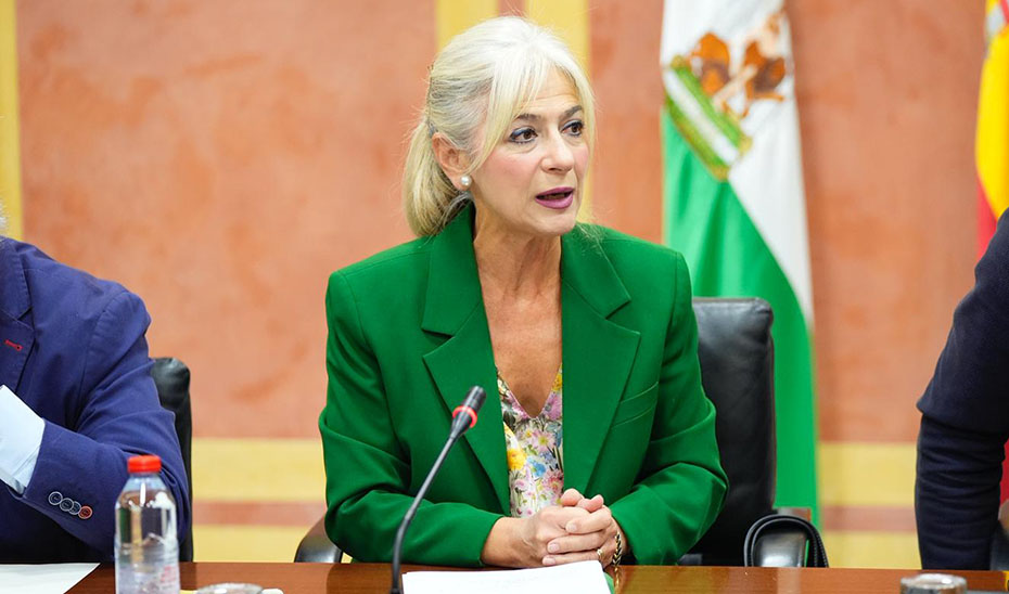 La consejera de Cultura y Deporte, Patricia del Pozo, durante su intervención en la comisión parlamentaria para explicar los Presupuestos 2026.